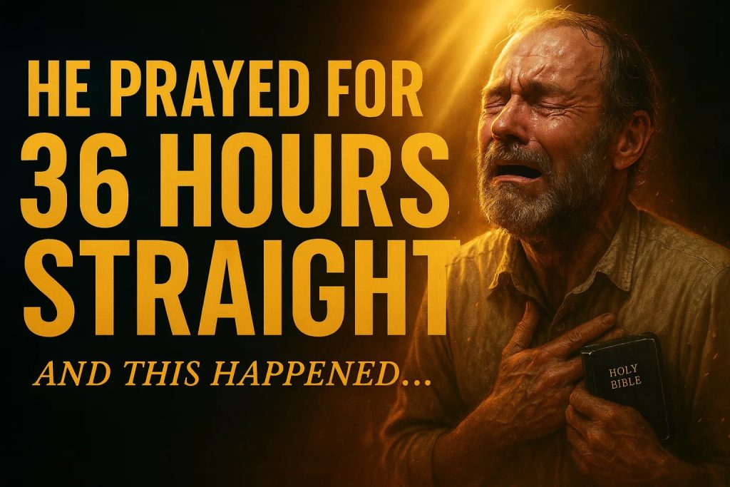 whatsapp image 2025 12 13 at 17.24.11